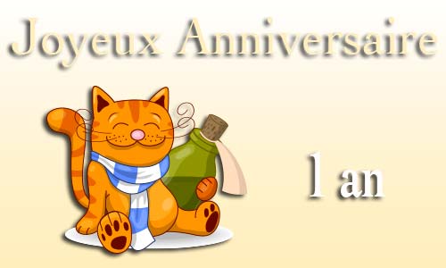 Carte anniversaire humour 1 an chat bouteille