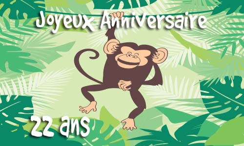 Carte anniversaire Carte anniversaire humour 22 ans