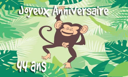 Carte anniversaire Carte anniversaire humour 44 ans