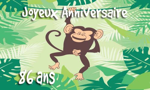Carte anniversaire Carte anniversaire humour 86 ans