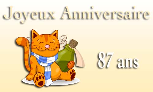 Carte anniversaire humour 87 ans chat bouteille